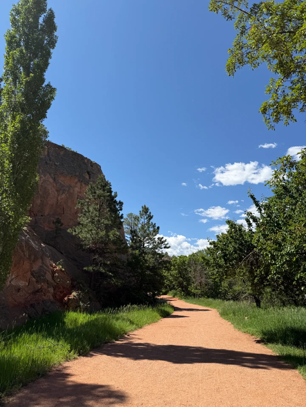 Dirt path with green grass and trees on either side with a blue sky above