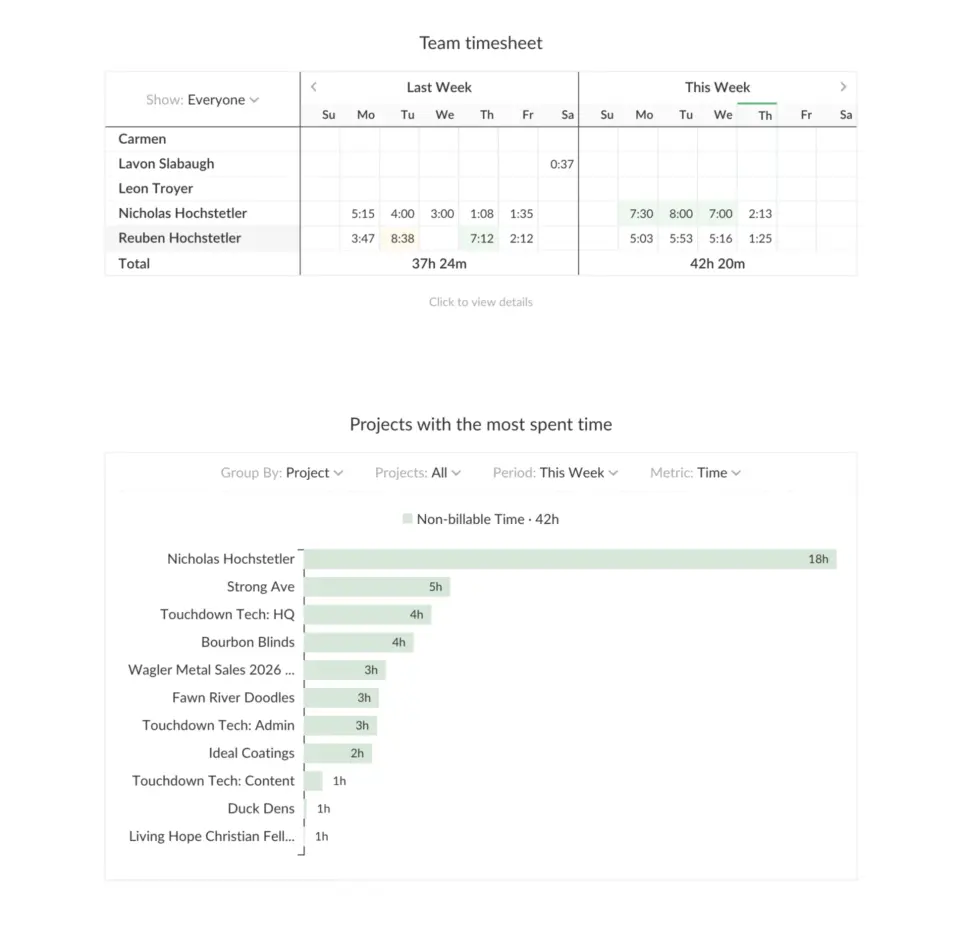 Everhour overview screenshot